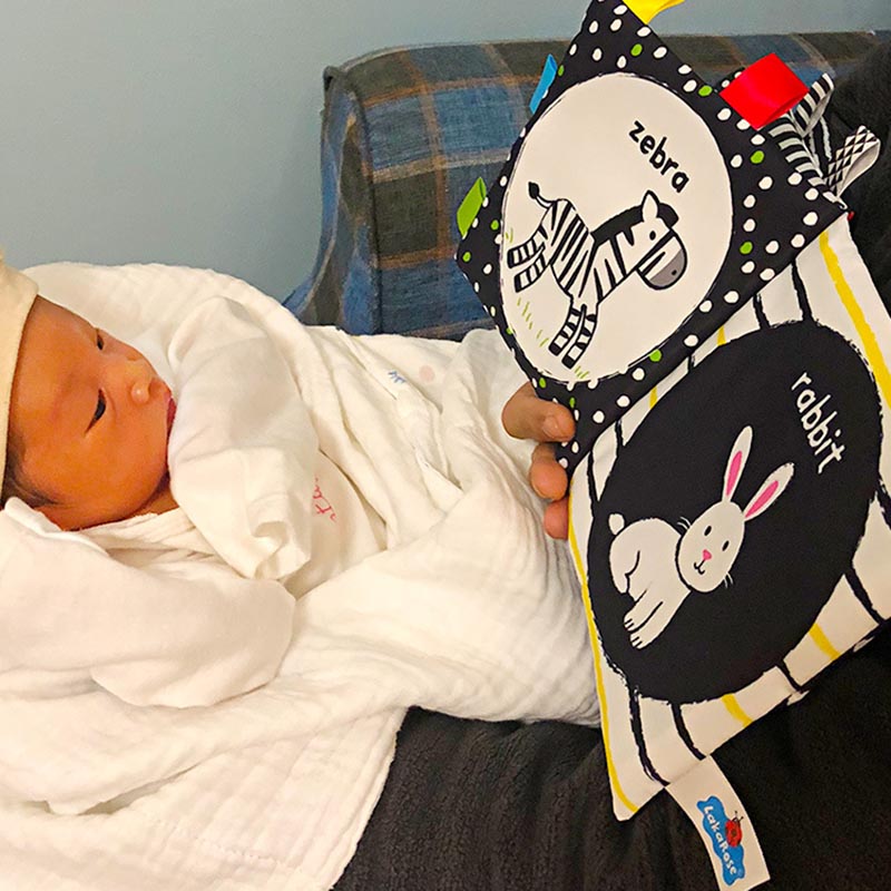 Touch and Tell Soft Books